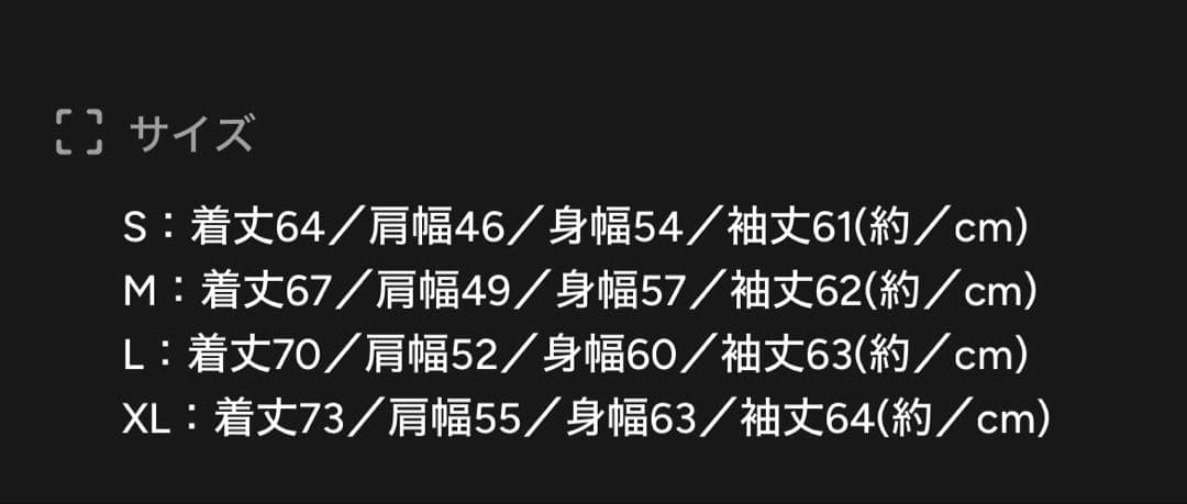 BMSGロゴパーカー　Lサイズ