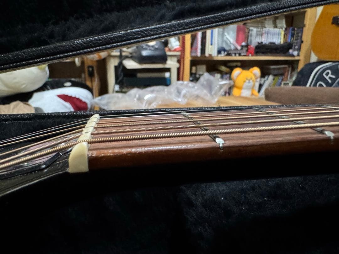 GUILD D-40 1979年　AntSB