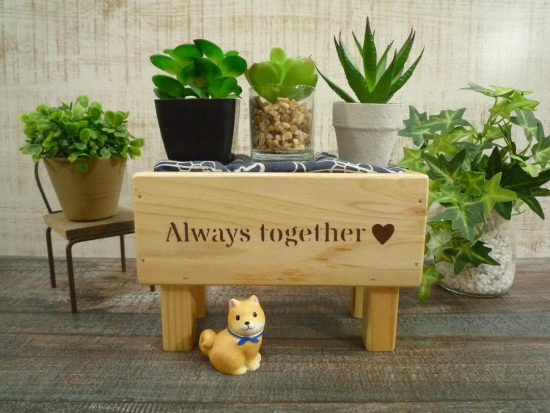 ❤️パクパク6点❤️ラック他⭐42-158-159-184-187-192