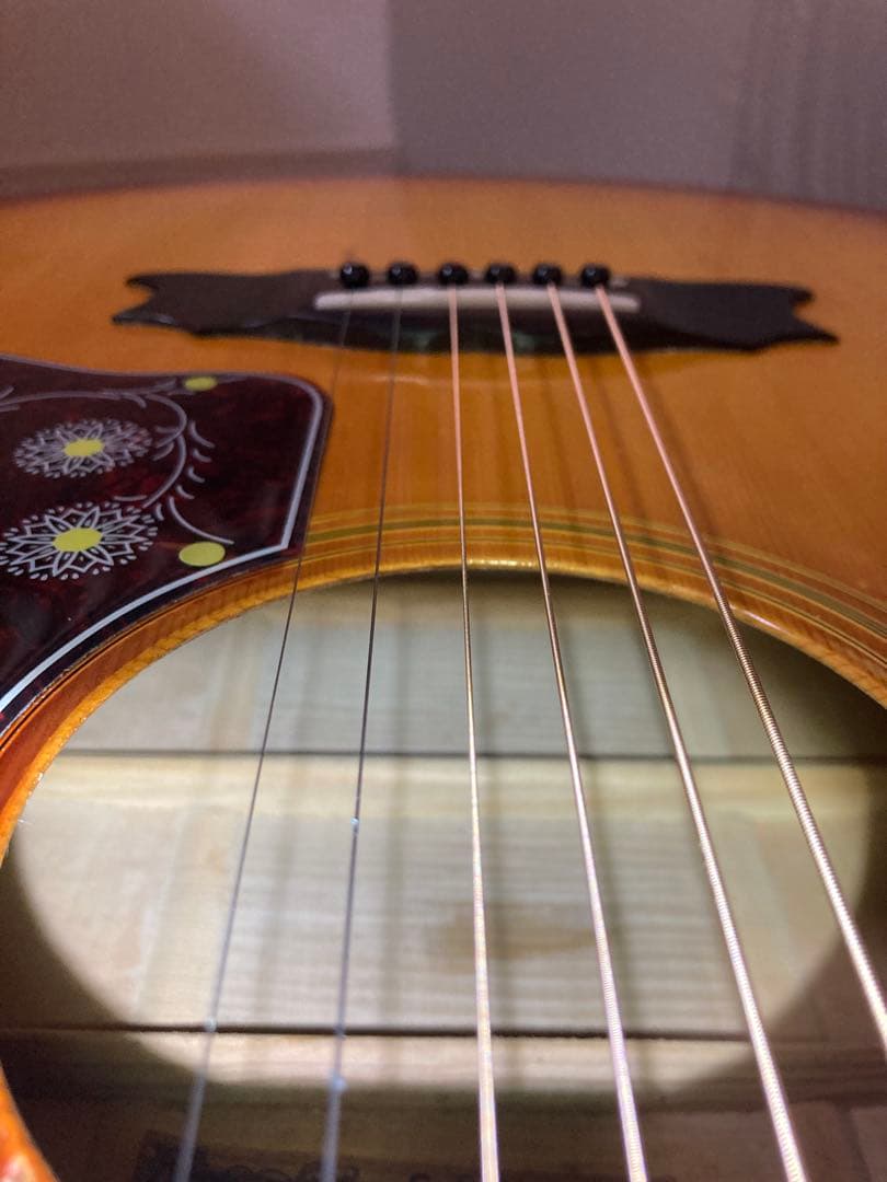 Thumb 寺田楽器 J-200タイプ ハードケースおまけ