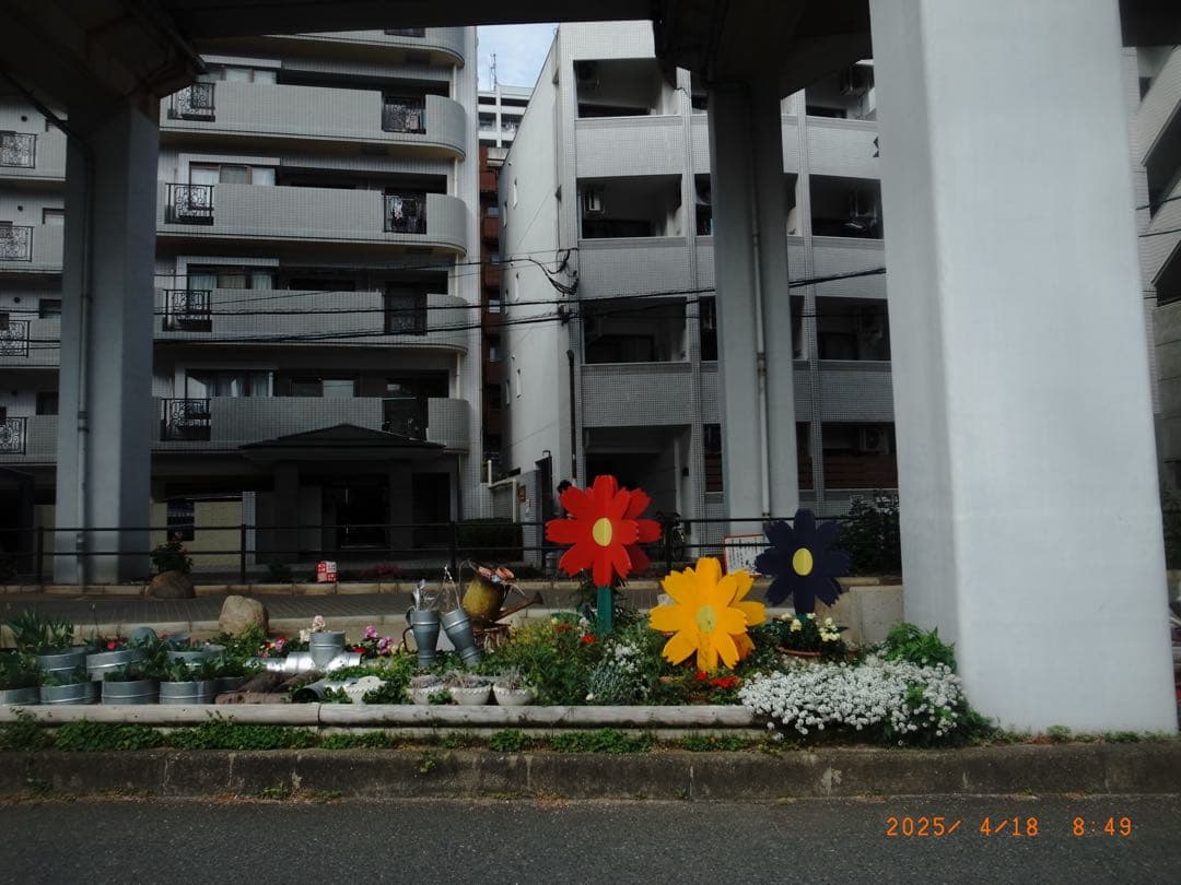 RICOH GR DIGITAL Ⅳ セット