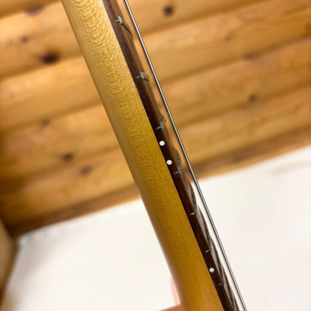 【美品】FUJIGEN フジゲン エレキギター PP4-380(PP-420)