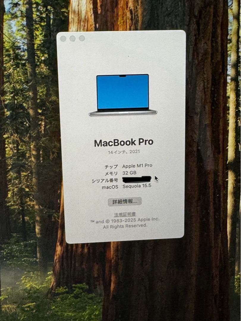 はなApple MacBook Pro 14インチ M1 Pro 32GB