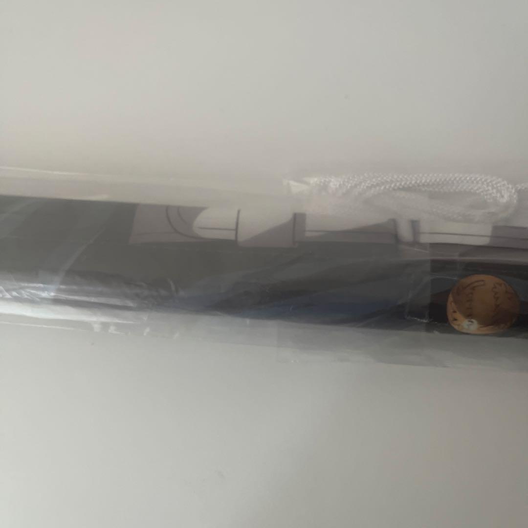 鬼滅の刃 柱稽古編KVアナザーカット タペストリー 時透無一郎