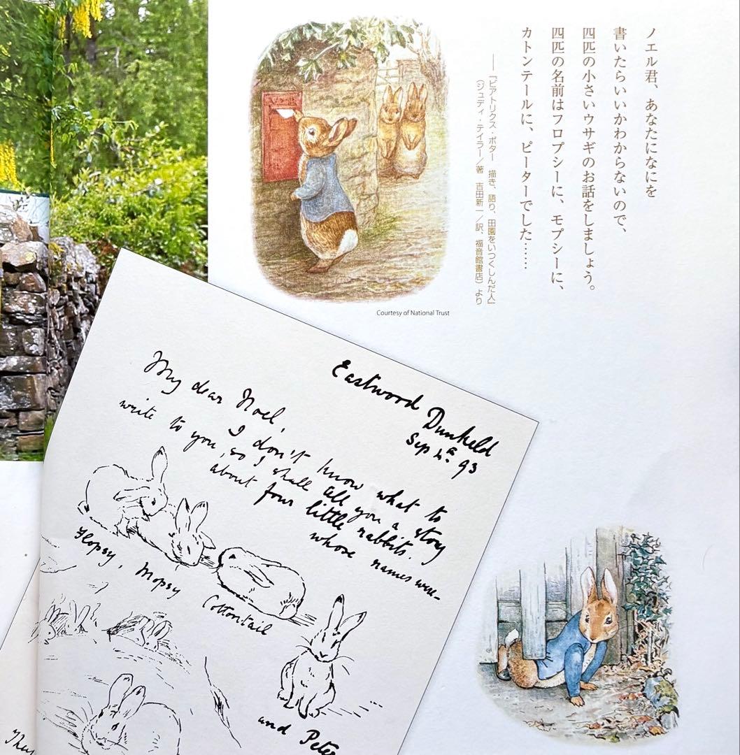 ピーターラビット◆希少【Peter Rabbit Eating Luttuce】