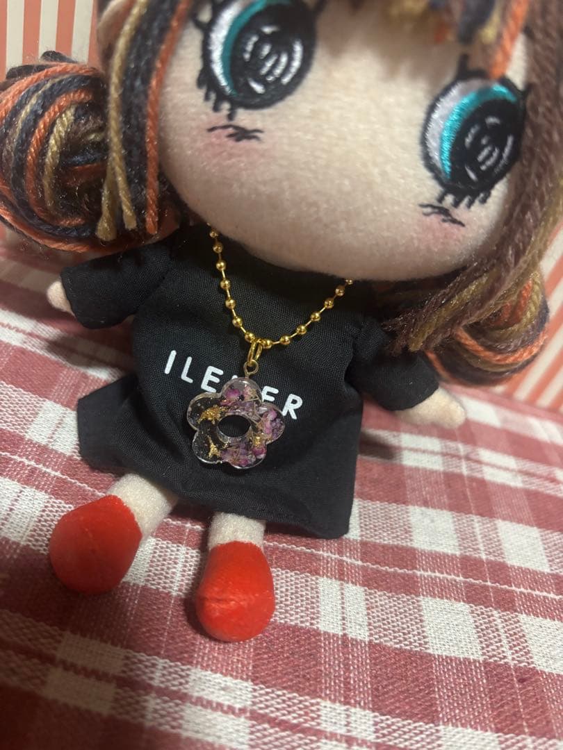 【3/15までの出品】リメイク本体 イアンヌちゃん