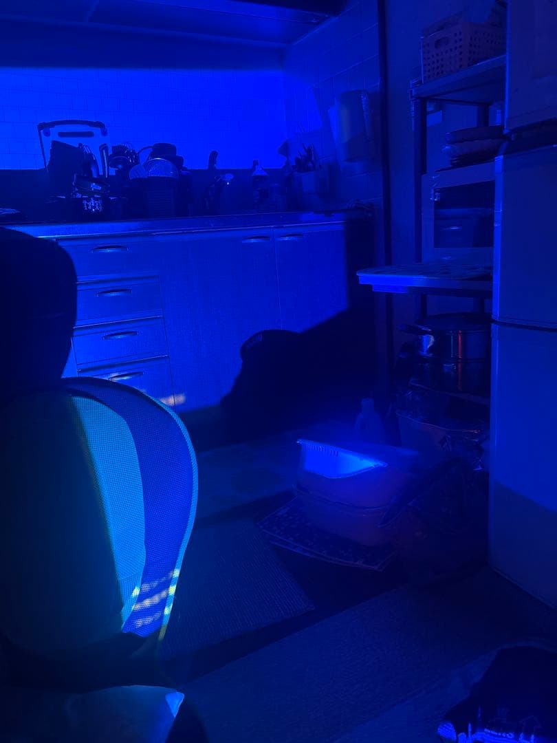 動作確認済EPSON EB-X12 プロジェクター　ケース・説明書・電源コード付