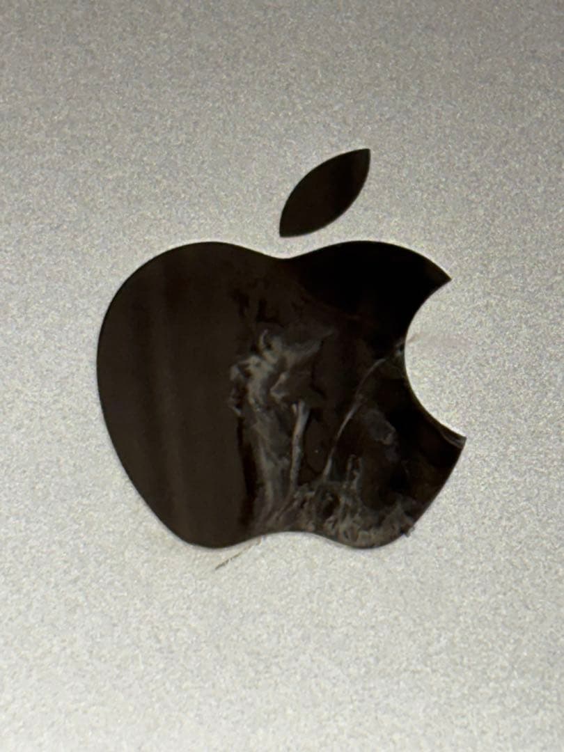 s*a様 【ジャンク品】 Apple iPad Pro10.5インチA1701