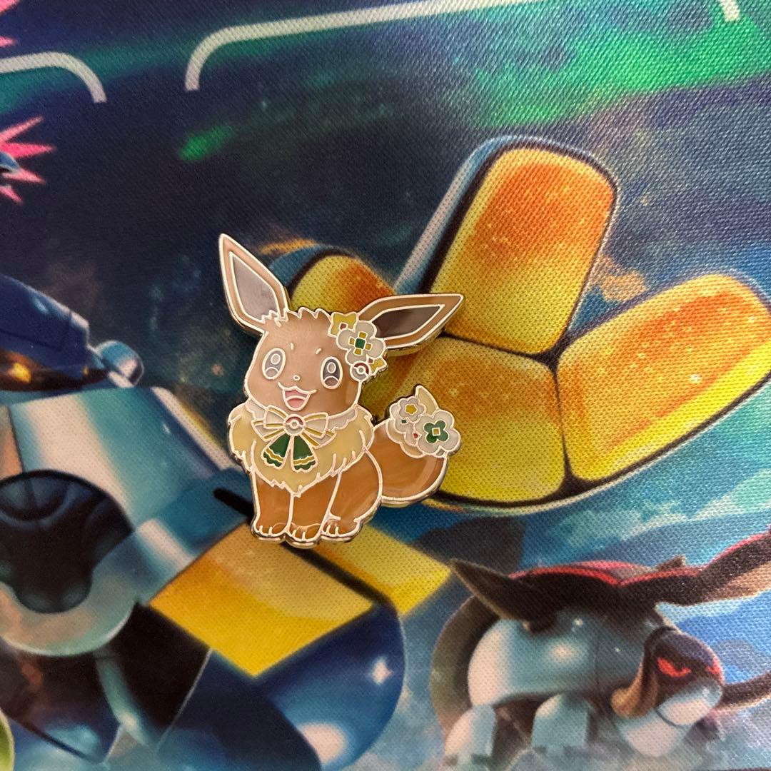 ポケパークカントー　ピンズ　フシギダネ　ヒトカゲ　ゼニガメ　ピカチュウ　イーブイ