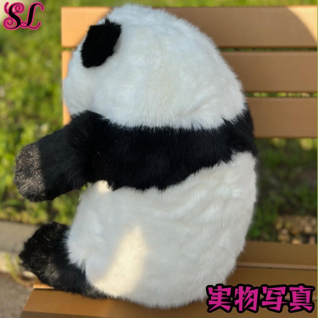 リアルで癒される！5ヶ月齢パンダ ぬいぐるみ登場 ファファ まるで本物！