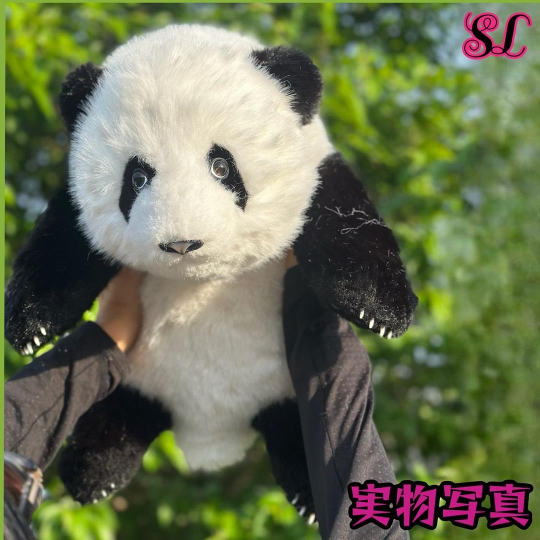 リアルで癒される！5ヶ月齢パンダ ぬいぐるみ登場 ファファ まるで本物！