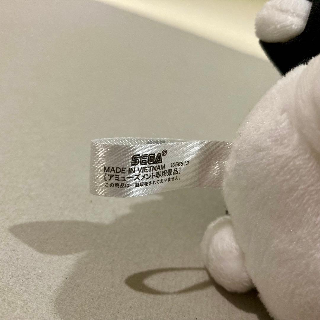 JUNON ジュノン BE:FIRST モアプラスぬいぐるみ BMSG パーカー