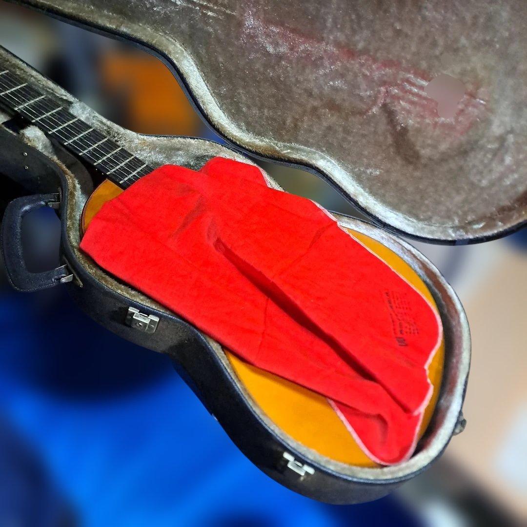 Morris PA-17G パワーアコースティックギター