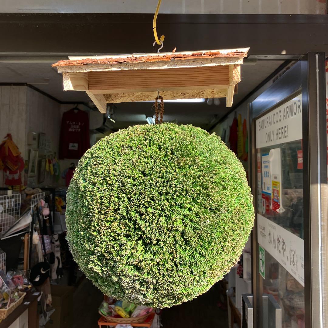 杉玉【屋根付き】③
