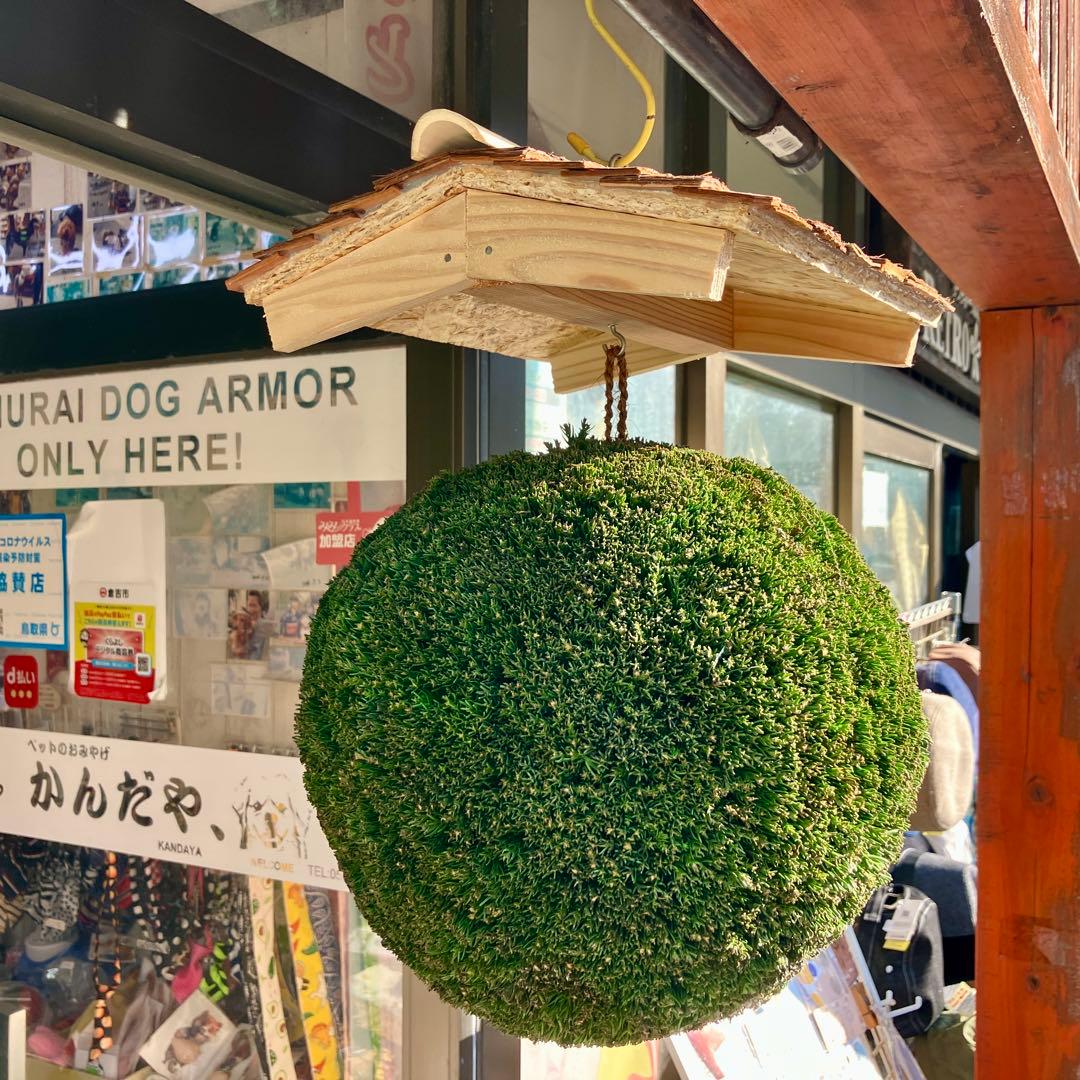 杉玉【屋根付き】③