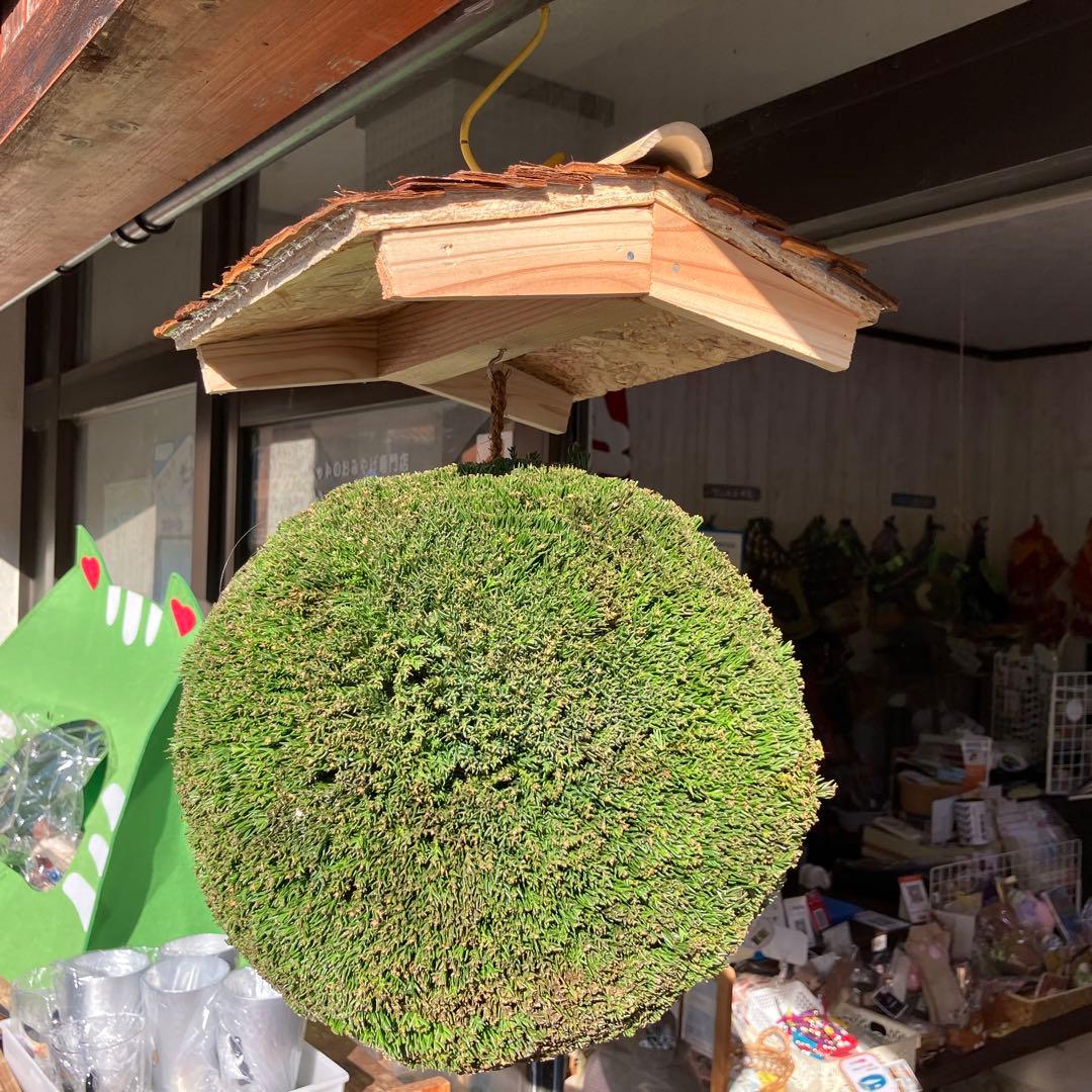 杉玉【屋根付き】③