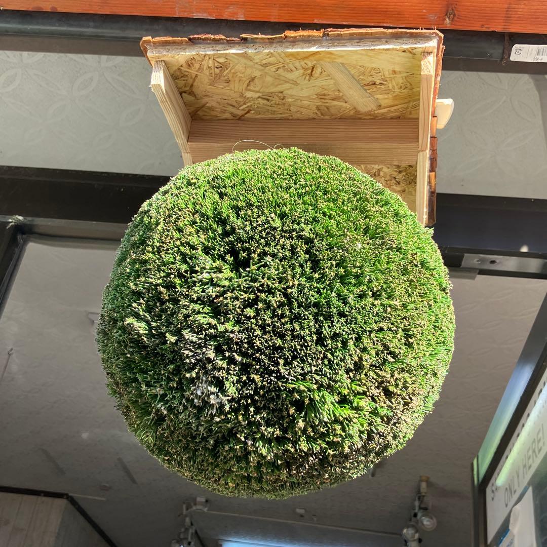 杉玉【屋根付き】③