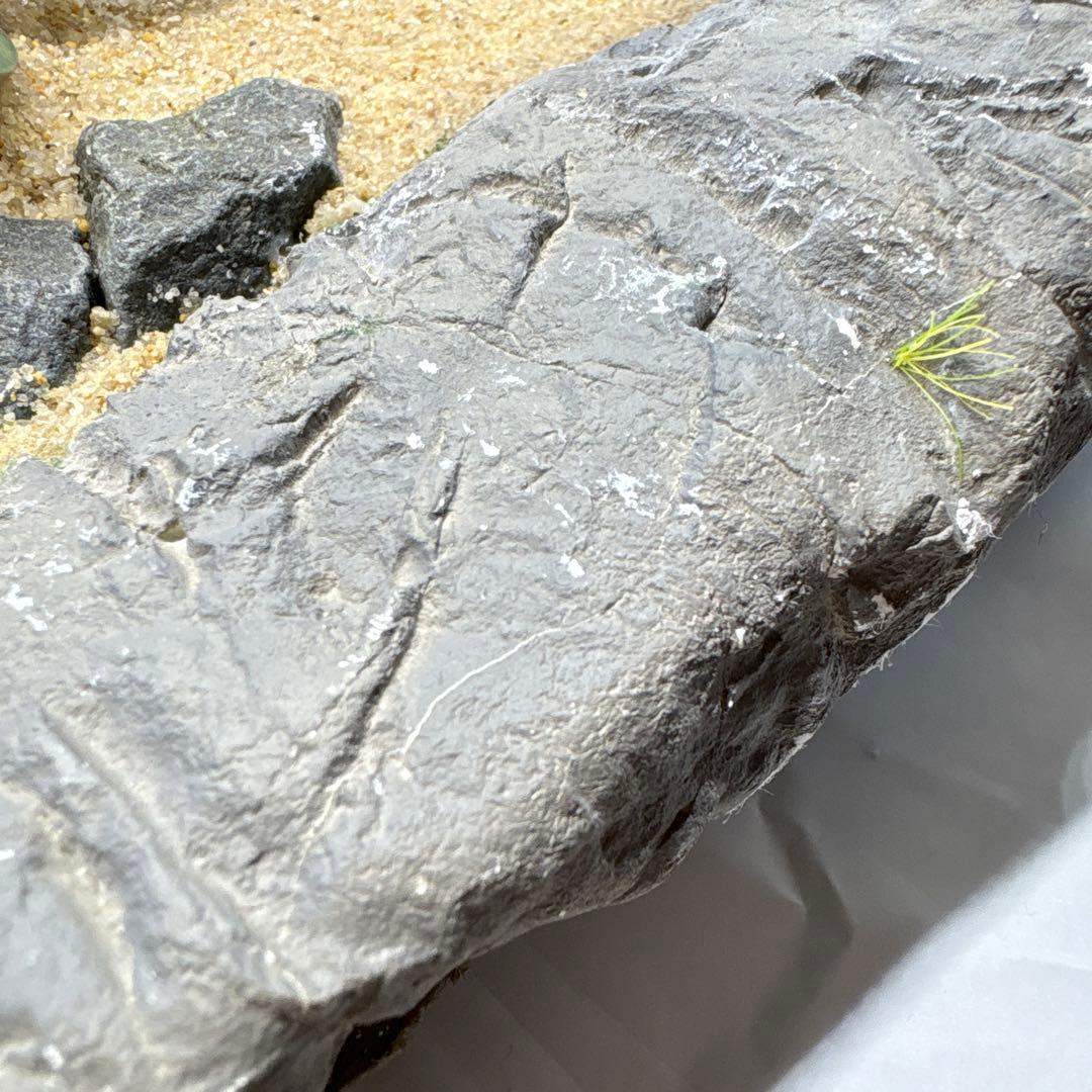 再出品　1/144 二式水戦　ジオラマ