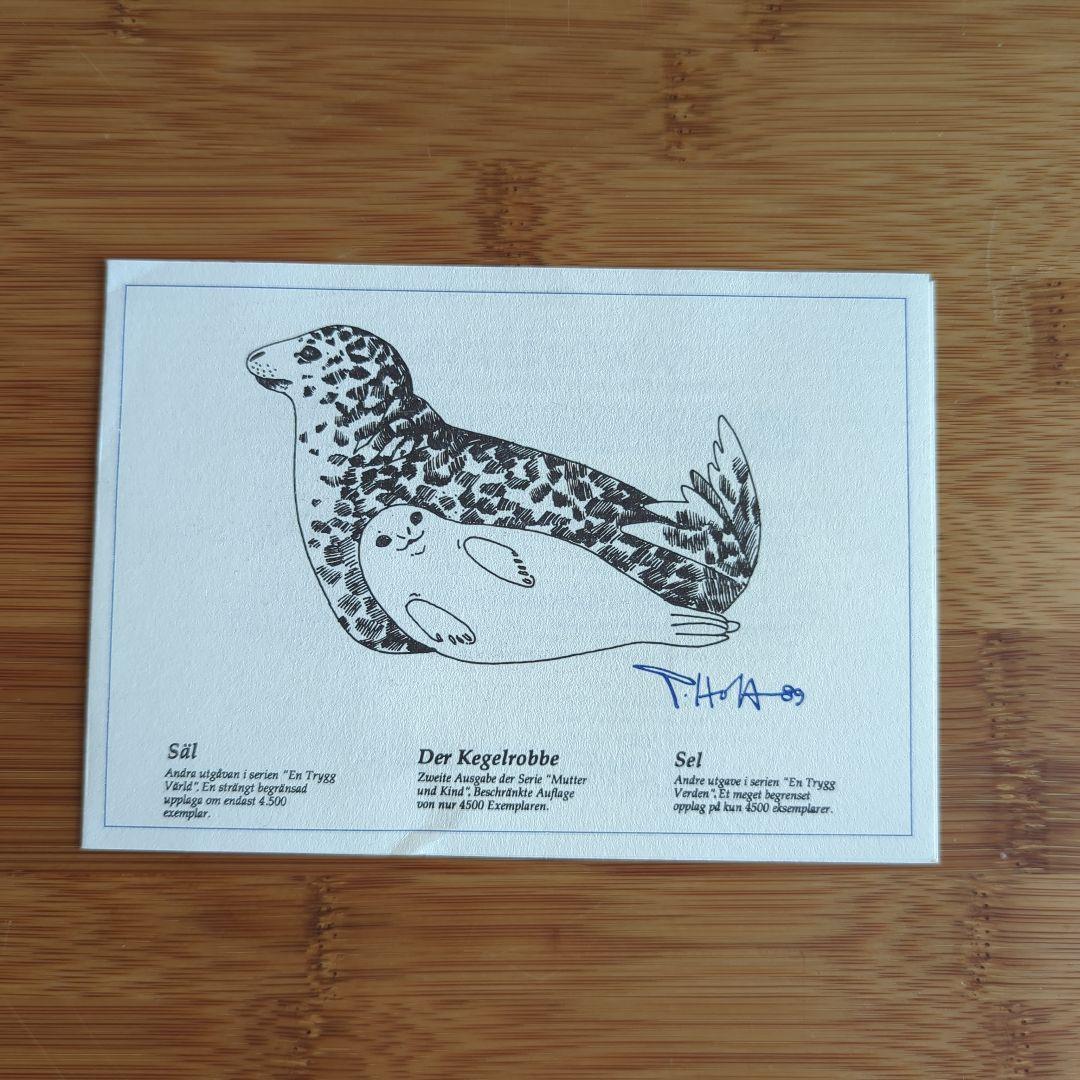 限定4500体 KOSTA BODA WWF 世界自然保護基金 　アザラシの親子