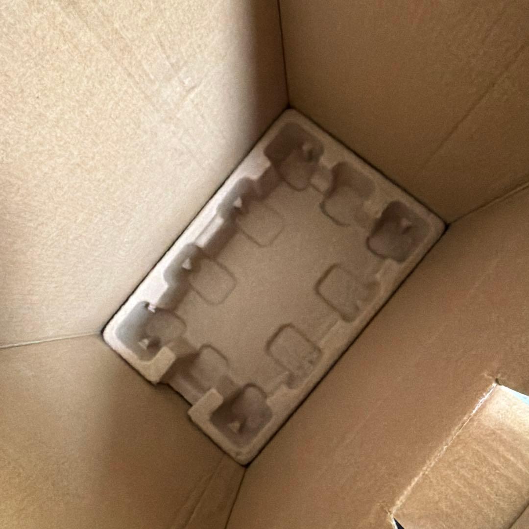 IRIS アイリスオーヤマ リンサークリーナー RNS-300 2024年製