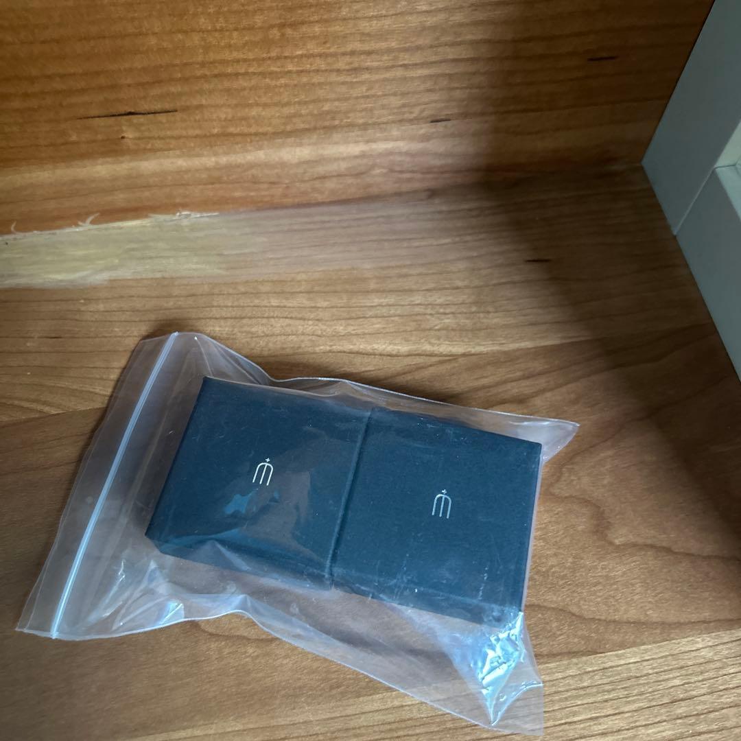 BEAMS購入MASATO INOUE / コンチョ モチーフ ピアス　美品