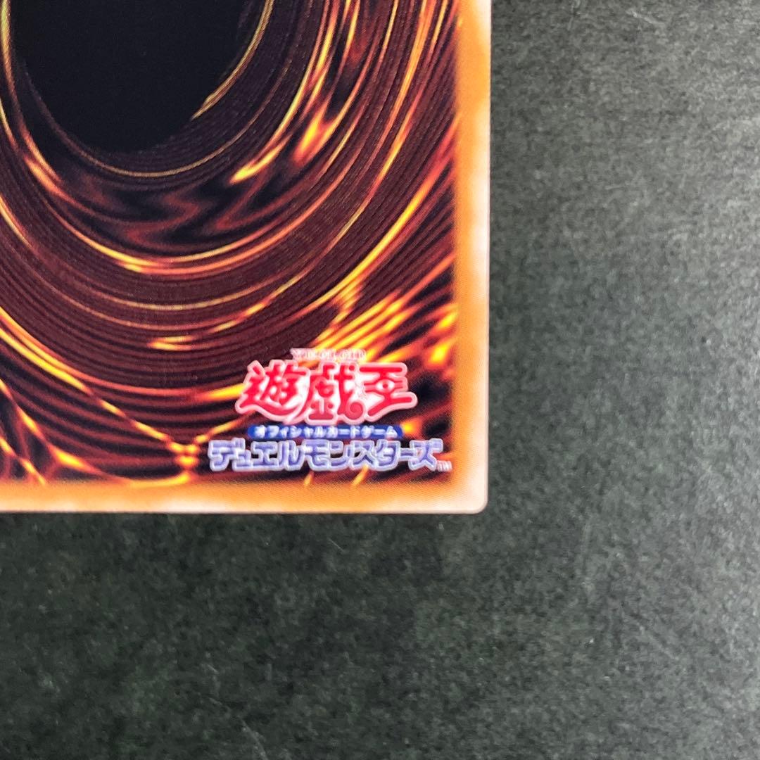 霆王の閃光　レリーフ　2枚セット