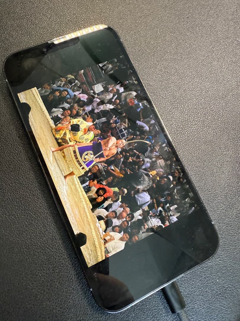 1日割引 iPhone 13 Pro Max 1 GB ブルー。SIMフリー