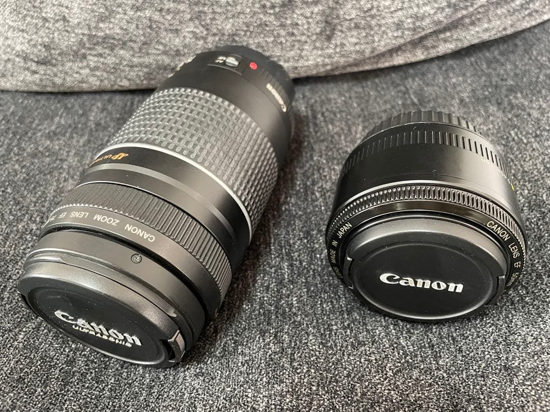 Canon EOS 80D デジタル一眼レフカメラ 本体とレンズ2本
