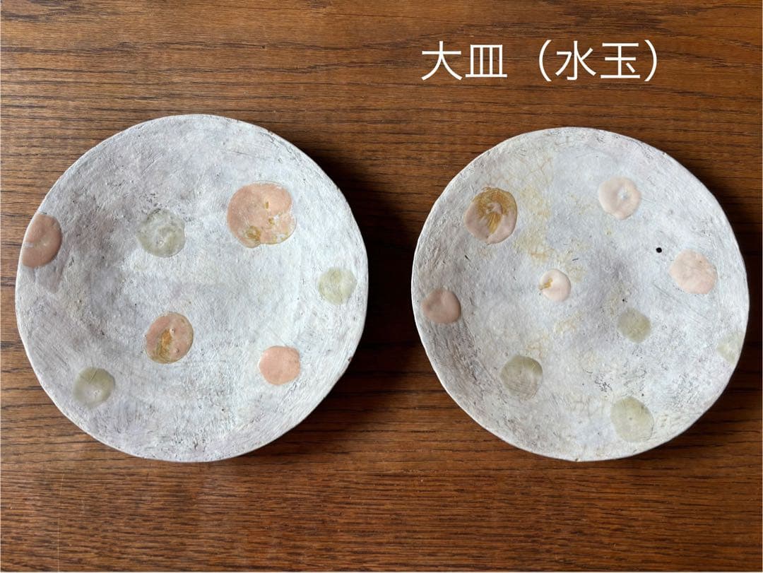 【訳アリ】林彩子さん 平皿 板皿 大小セット