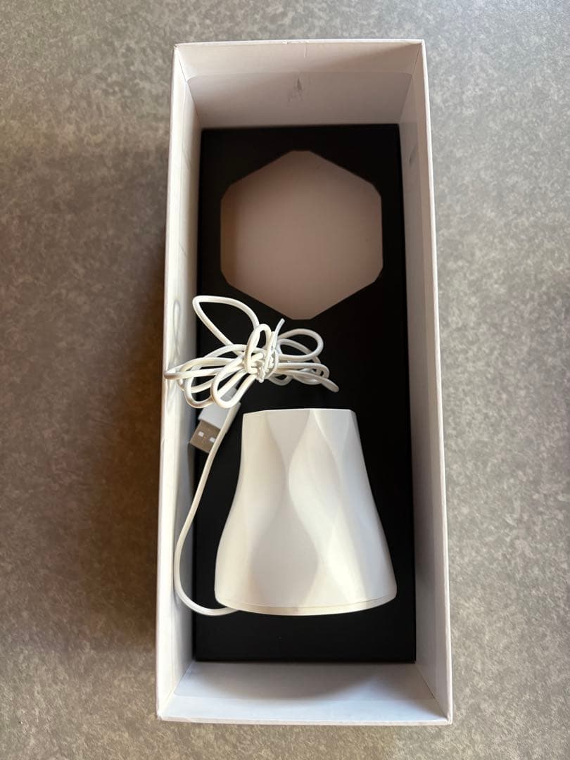 2PM 公式ペンライト