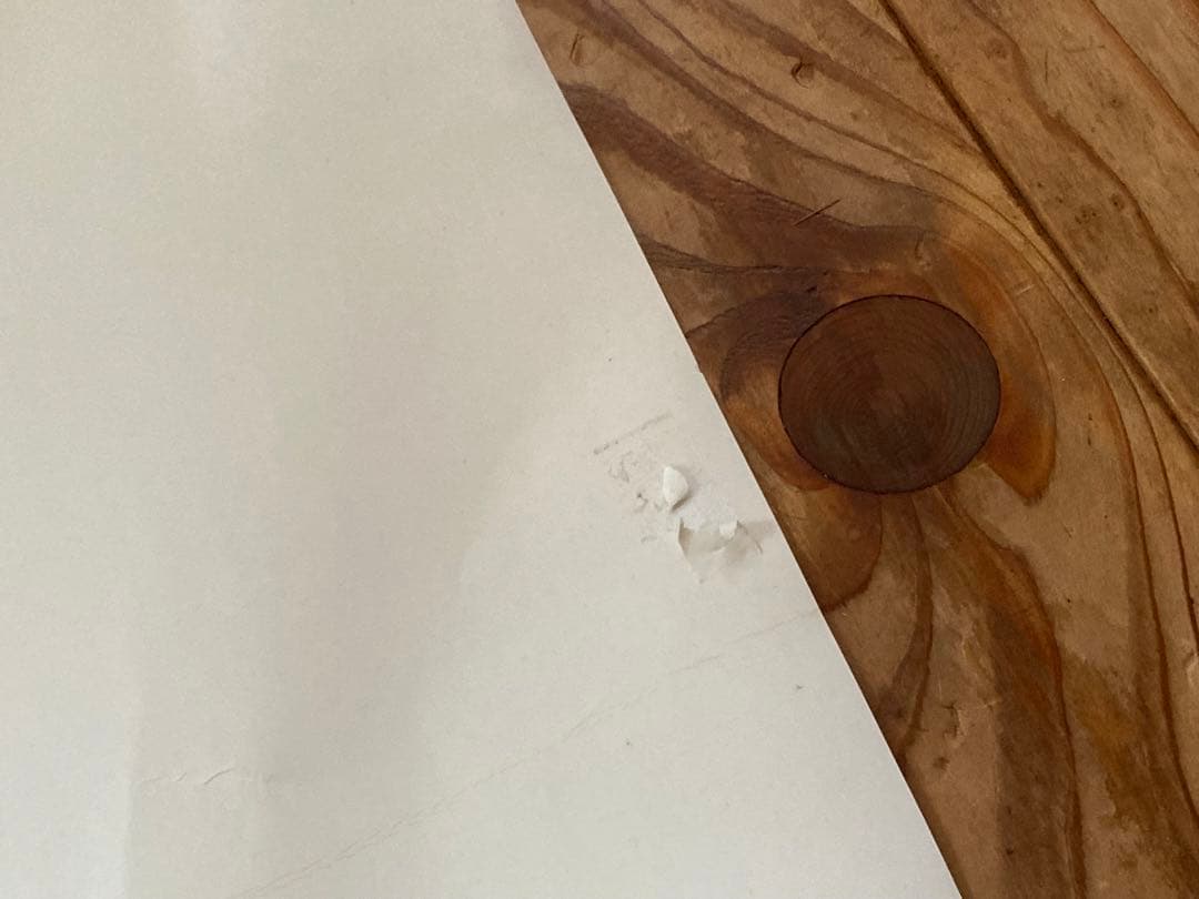 カネコアヤノ単独演奏会「燦々」　ポスター