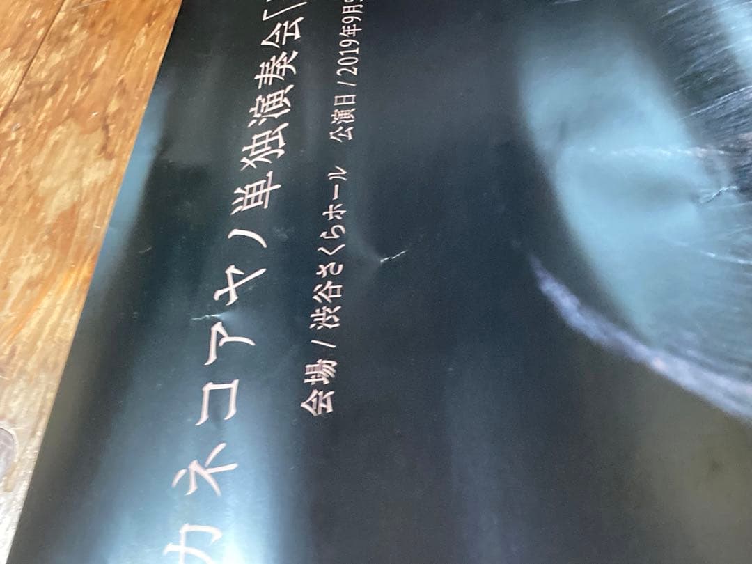 カネコアヤノ単独演奏会「燦々」　ポスター