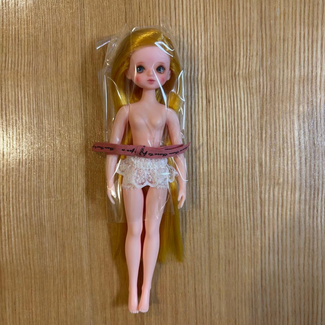 DOLCE 1/6 Pudding Doll ゴルディ