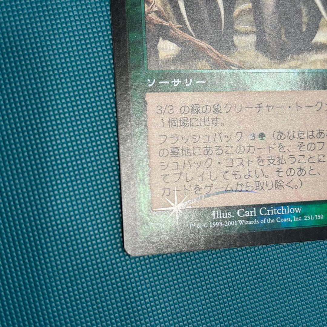 初版 日本語Foil《獣群の呼び声/Call of the Herd》[ODY]