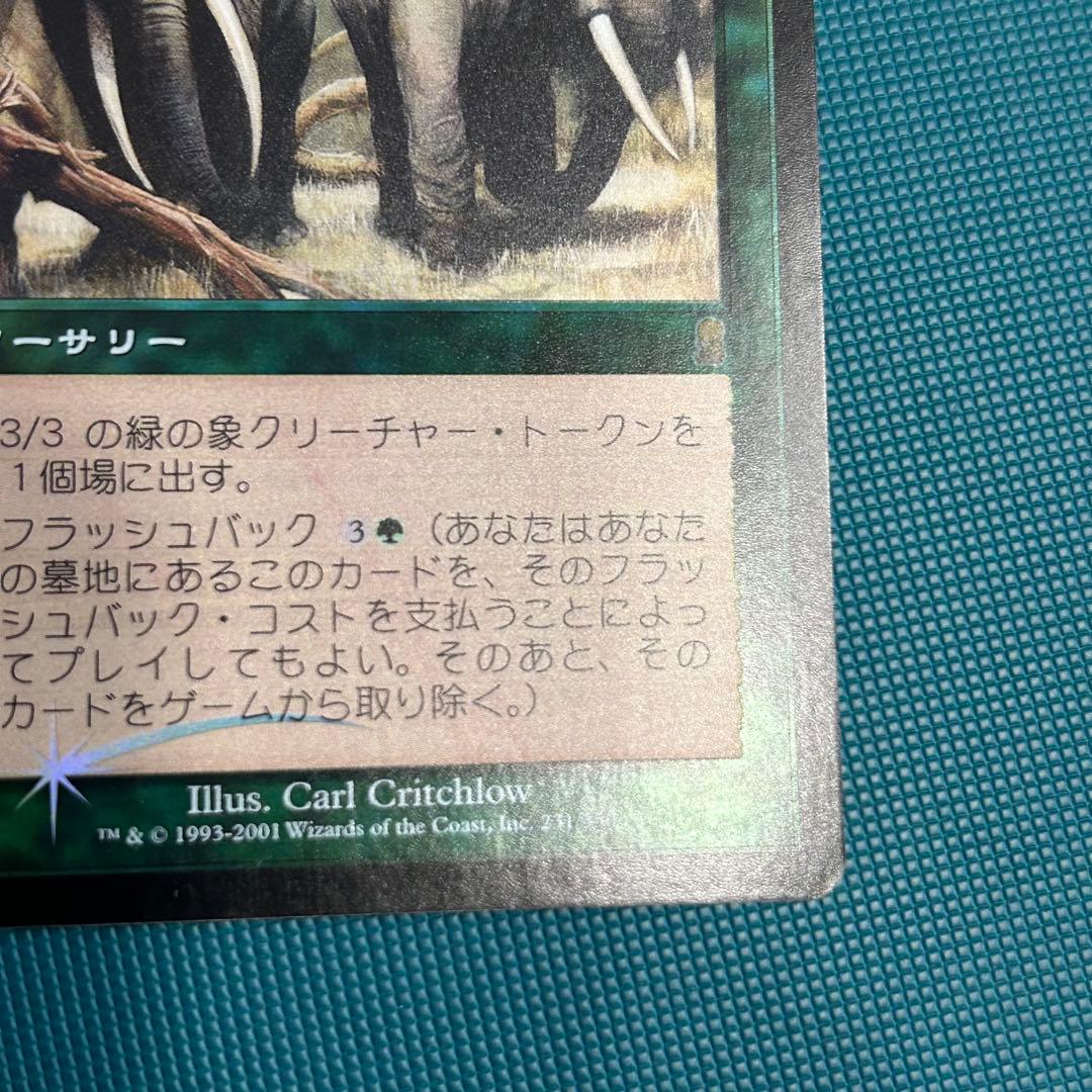 初版 日本語Foil《獣群の呼び声/Call of the Herd》[ODY]