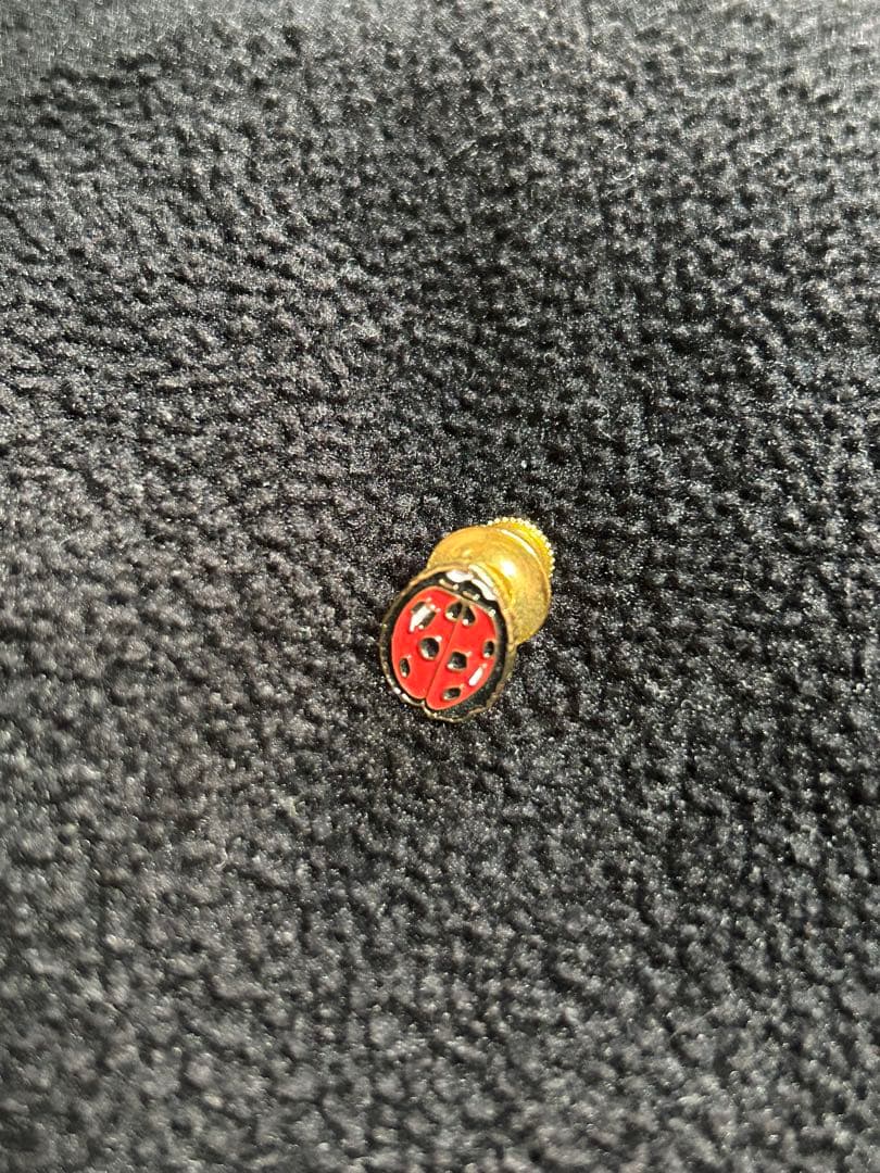 supreme Ladybug Pin ピンバッジ　キムタク使用　木村拓哉