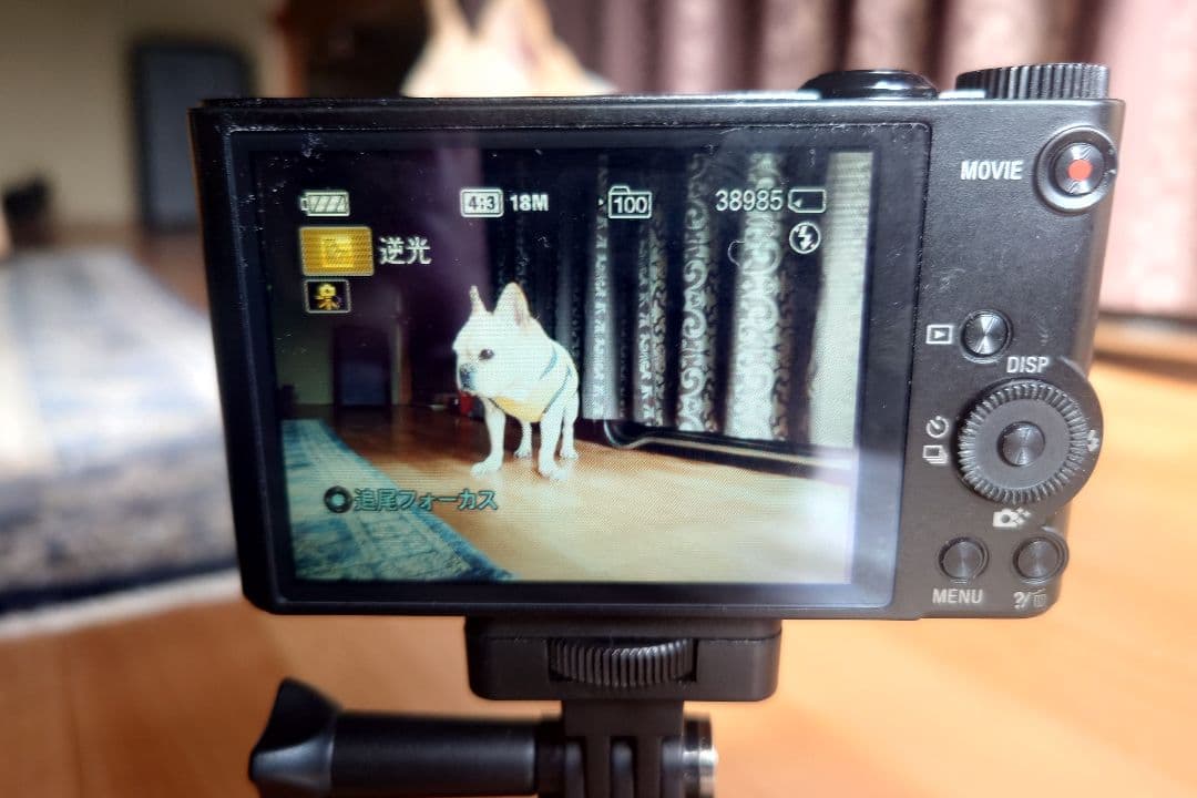 ソニー　SONY Cyber-shot DSC-WX300