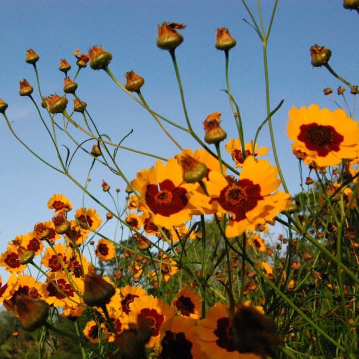 NikonD100 カメラバッグ バッテリ2つ レンズつき