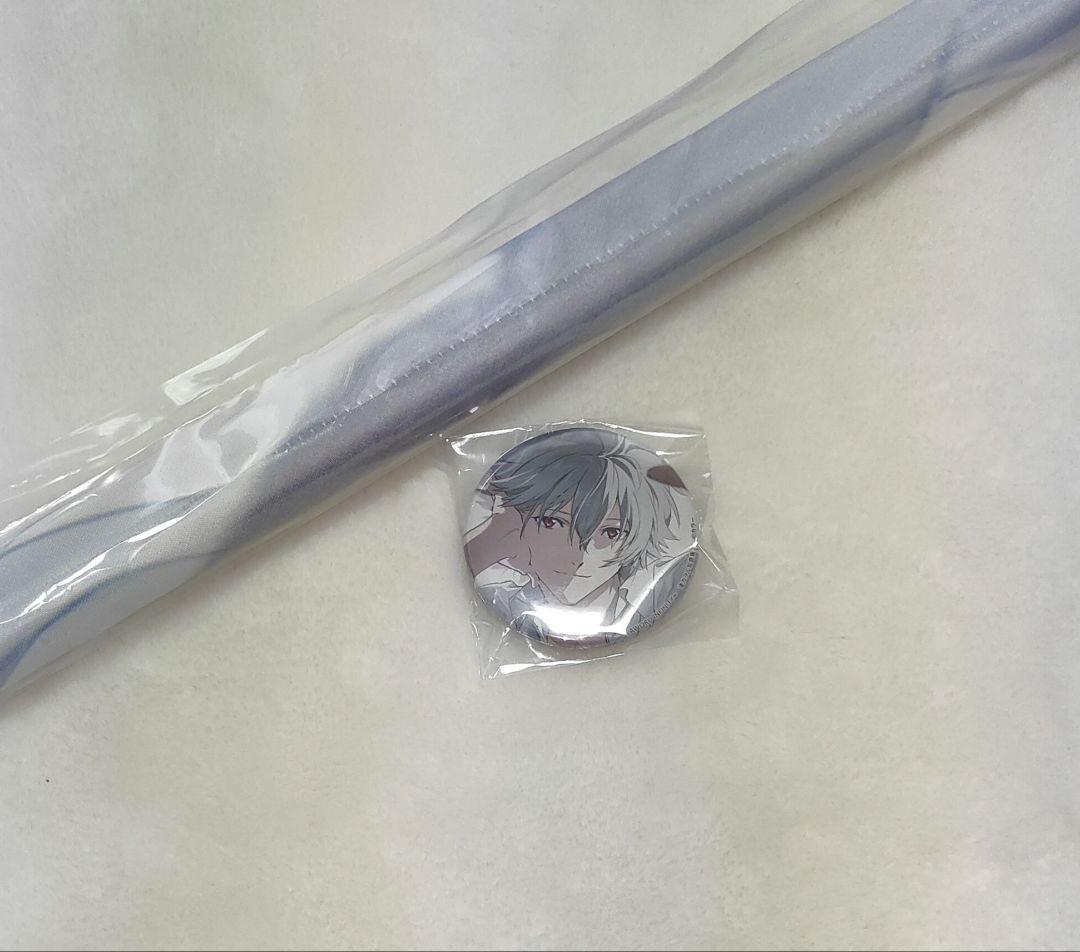 2点セット 渚カヲル写真集2 ゲーマーズ限定版 特典 タペストリー ＆ 缶バッジ