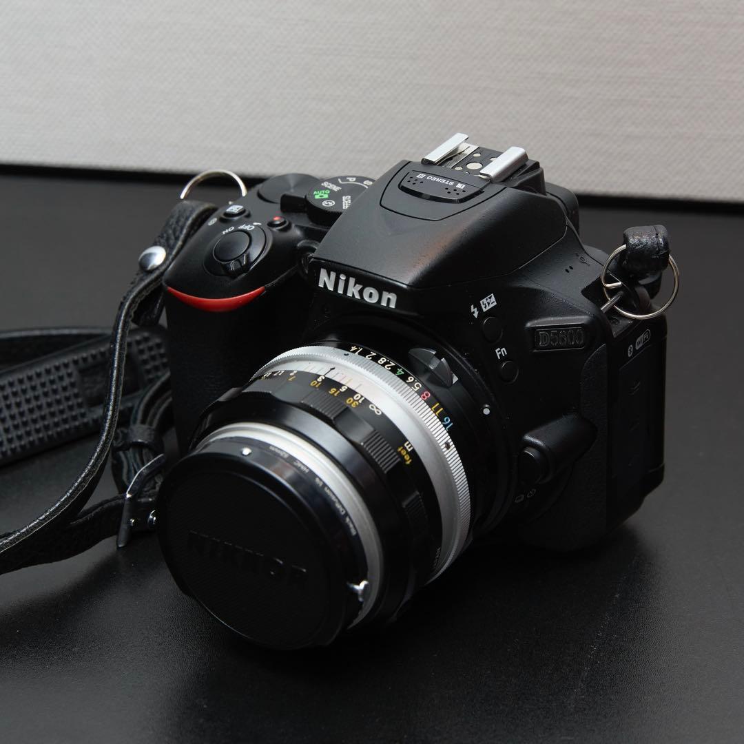 値下!【美品】Nikon D5600 標準レンズ/望遠レンズ/オールドレンズ