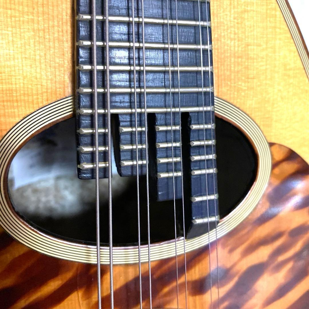 カラーチェマンドリン calace クラシコA anno 1992