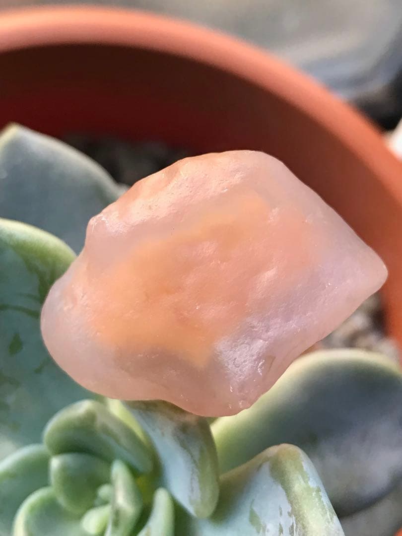 ゴビ石−1454 ゴビ瑪瑙　原石