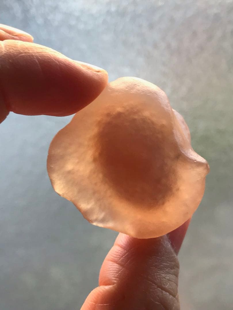 ゴビ石−1454 ゴビ瑪瑙　原石