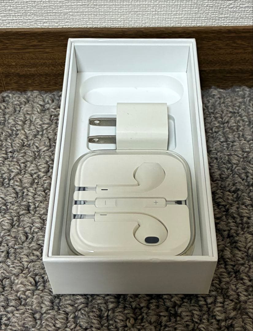 Apple iPhone SE 第1世代　ローズゴールド 本体　(付属品)