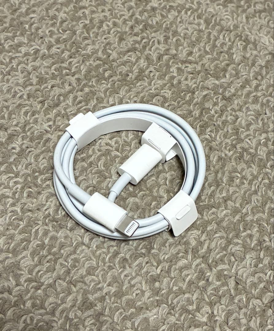 Apple iPhone SE 第1世代　ローズゴールド 本体　(付属品)