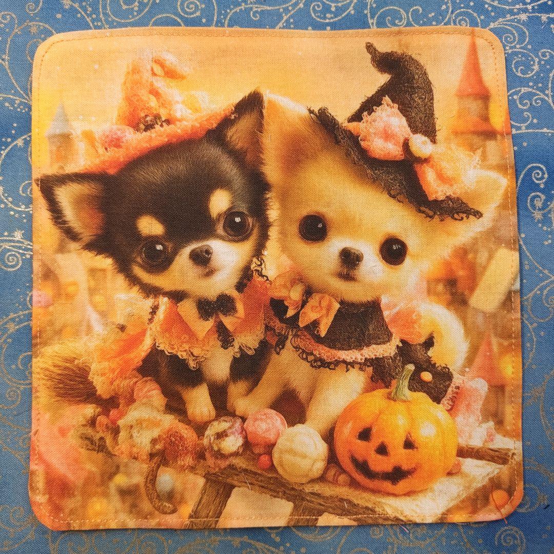 ななちゃん　ハンカチ　ねこちゃん柄