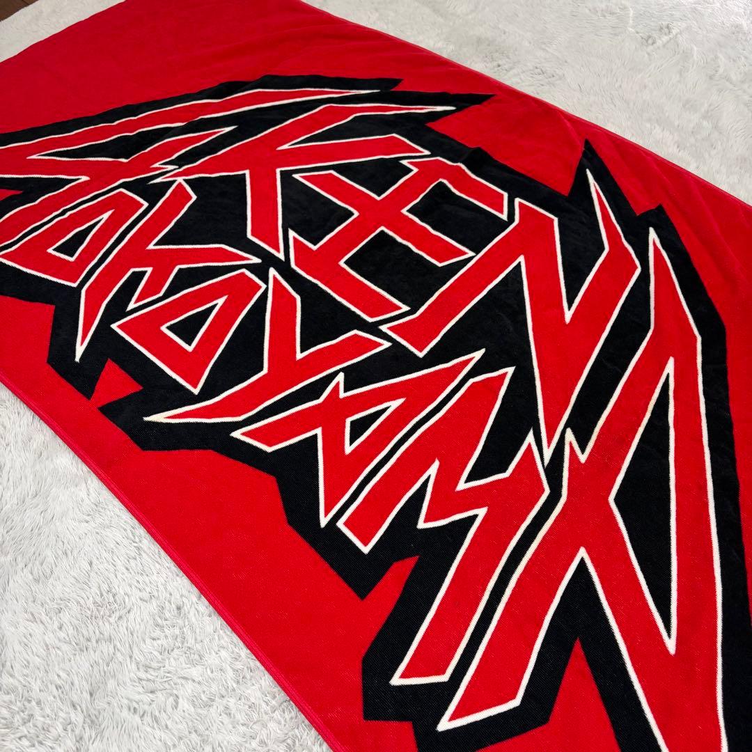 【希少・新品未開封】横山健 武道館限定 ヤザワ風 タオル＆ブランケット セット