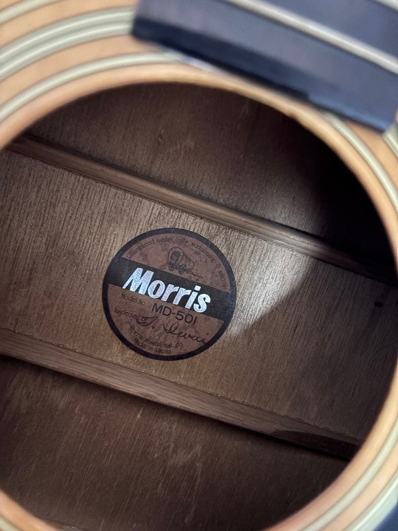 Morris MD-501 アコースティックギター