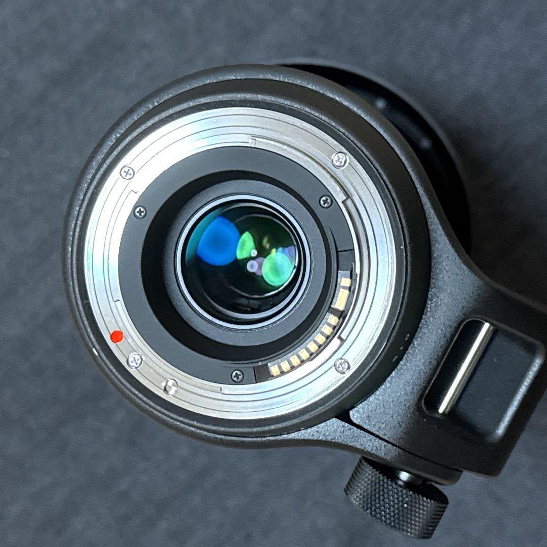 SIGMA150-600mm F5-6.3 DG Contemporaryレンズ