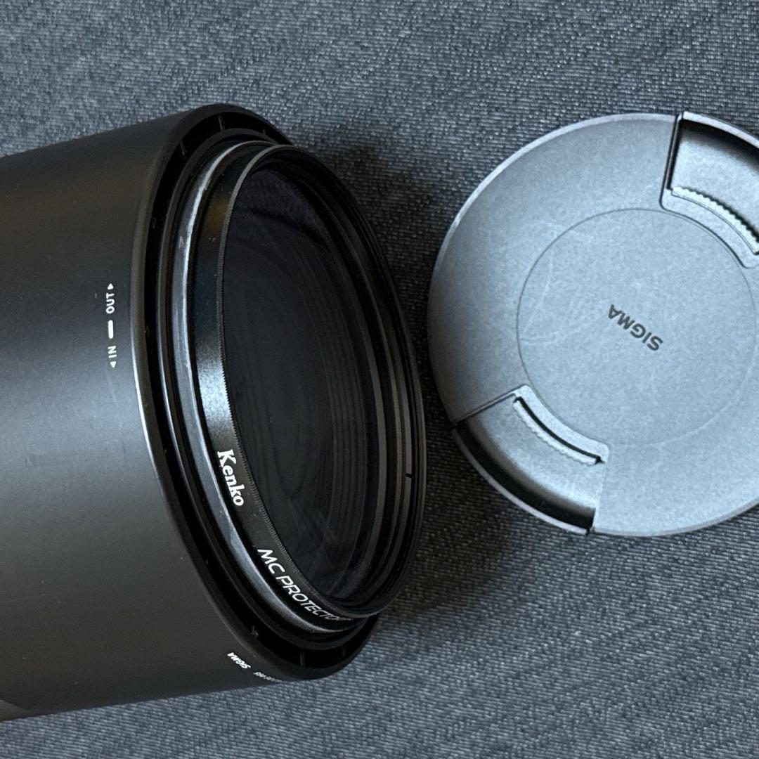 SIGMA150-600mm F5-6.3 DG Contemporaryレンズ